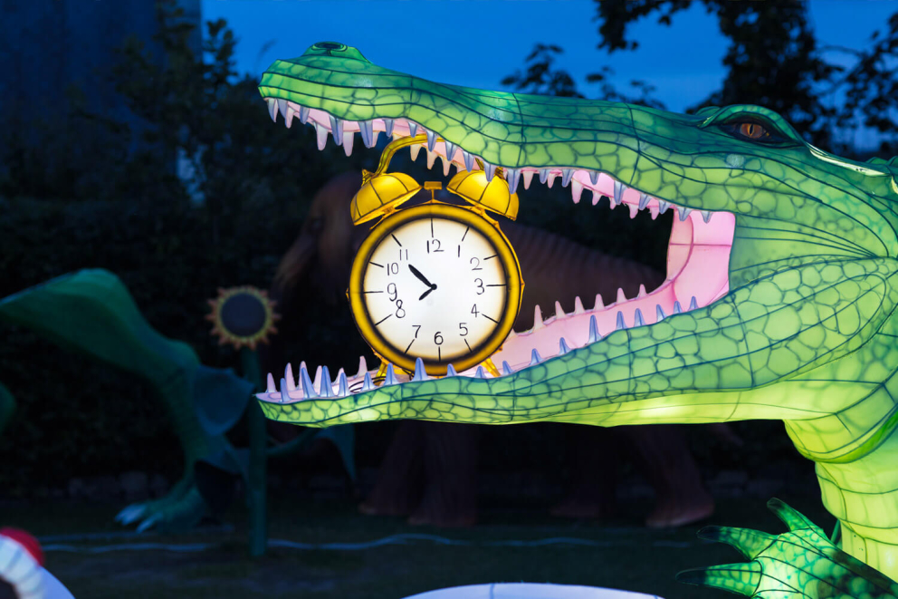 Dublin Zoo Lights Event