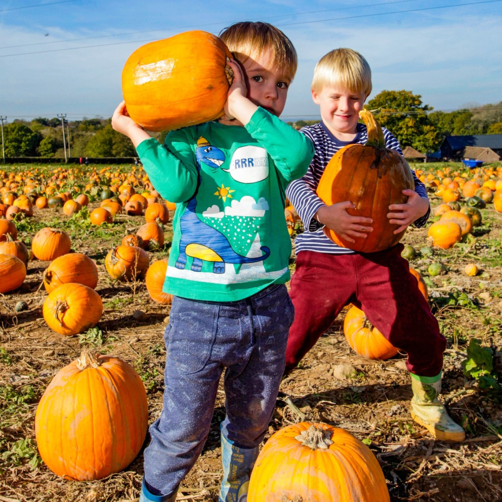 Tulleys Entertainment Group