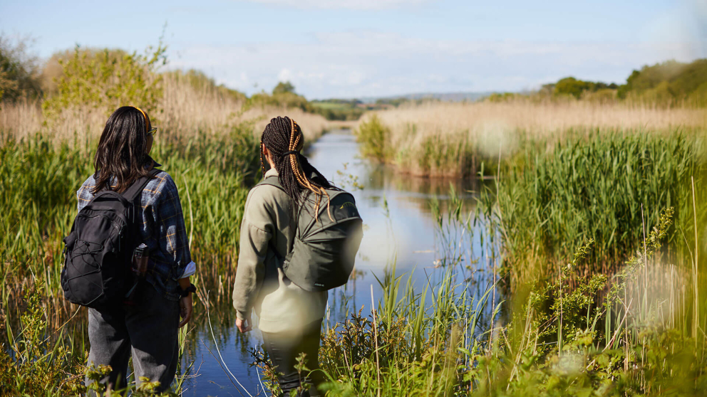 Wildfowl & Wetlands Trust