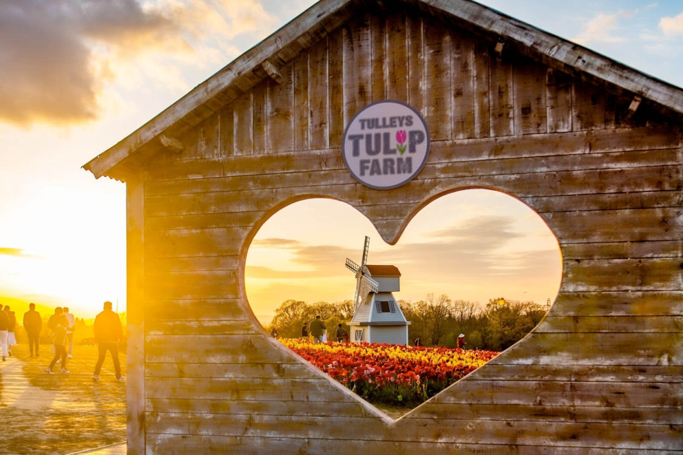 Three attractions that turned seasonality to their advantage